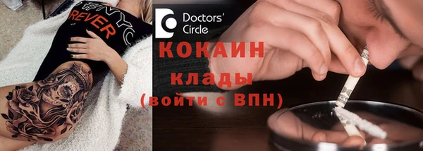 стаф Бородино