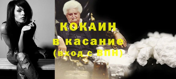 стаф Бородино
