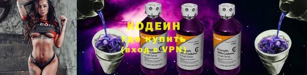 стаф Бородино
