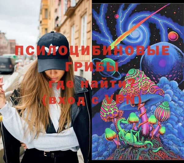 СК Покачи