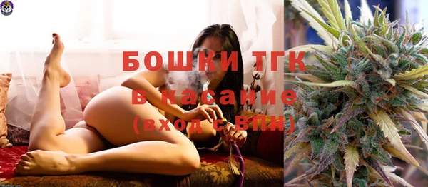 стаф Бородино